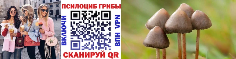 где купить наркотик  Кукмор  Галлюциногенные грибы MAGIC MUSHROOMS 