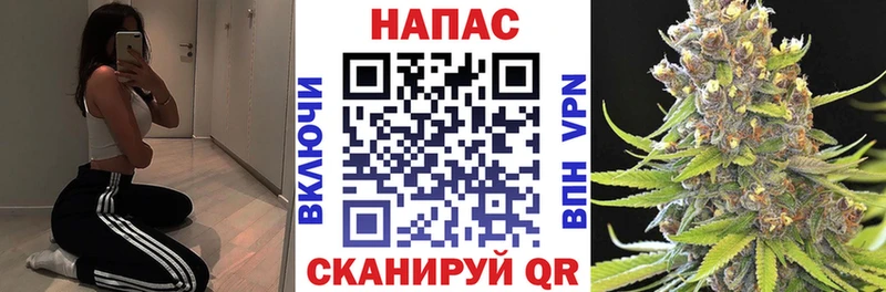 блэк спрут зеркало  Кукмор  Бошки марихуана планчик  дарнет шоп 